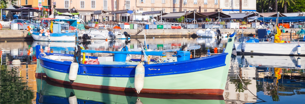 Guidare ad Ajaccio e dintorni